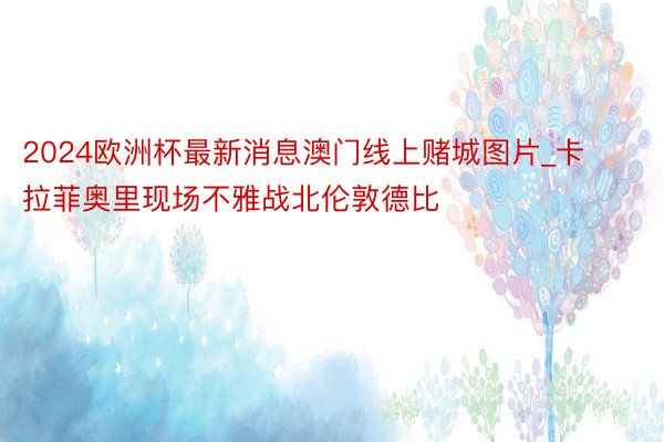 2024欧洲杯最新消息澳门线上赌城图片_卡拉菲奥里现场不雅战北伦敦德比